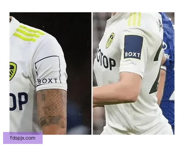 勒沃库森对阵尼斯欧战焦点之夜攻防博弈全解析看点前瞻胜负走向预测