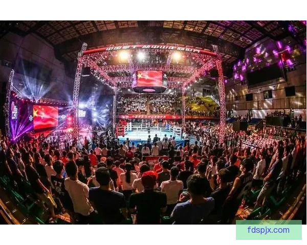 传统武术与现代搏击实力真相全面对比与发展之争擂台实战检验路径