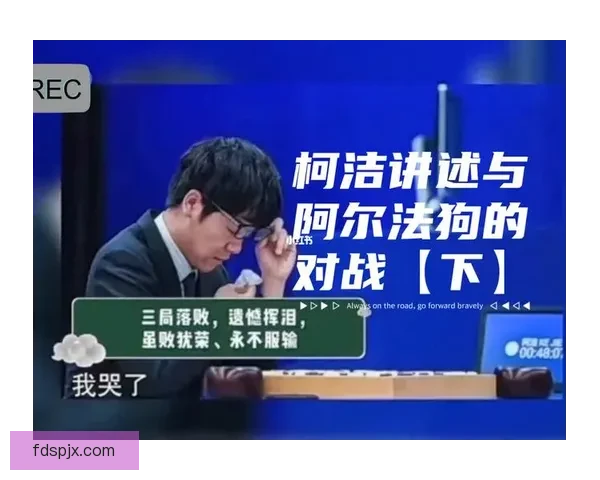 从阿尔法狗对弈柯洁看人工智能与人类智慧的时代碰撞与反思启示录 从阿尔法狗对弈柯洁看人工智能与人类智慧的时代碰撞与反思启示录