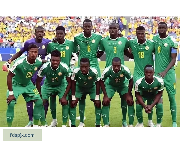 加纳对阵刚果比赛结果揭晓非洲赛场悬念迭起引热议球迷关注高潮